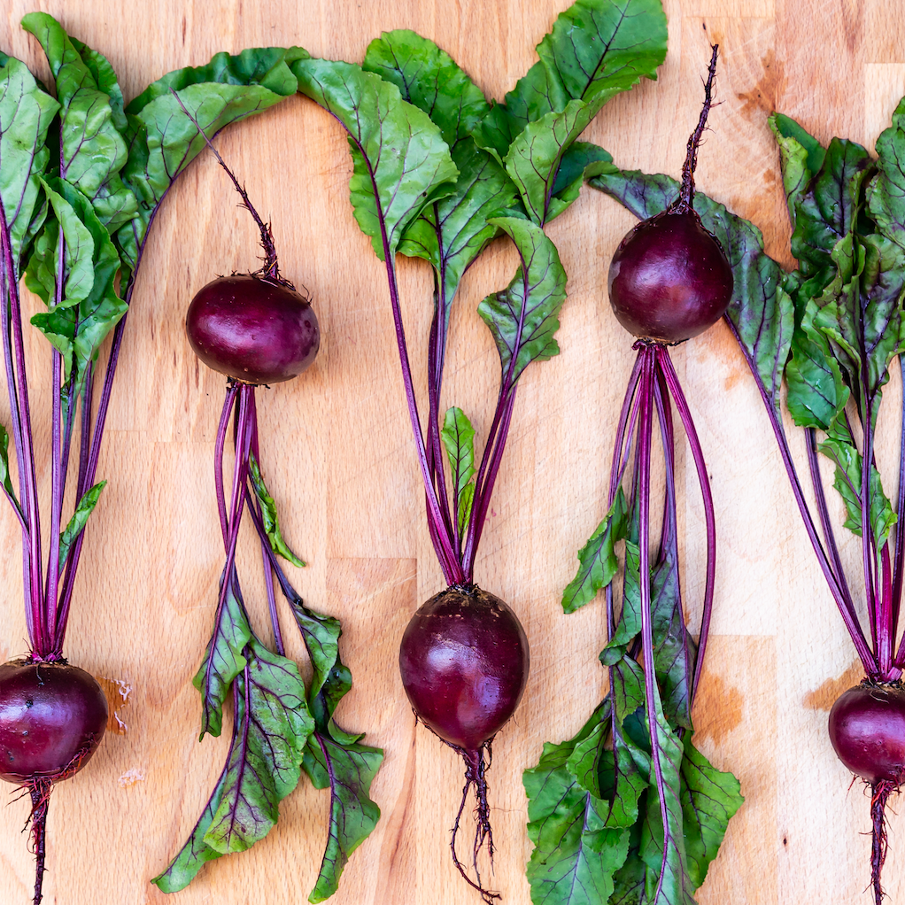 Beet - Crosby's Egyptian seeds