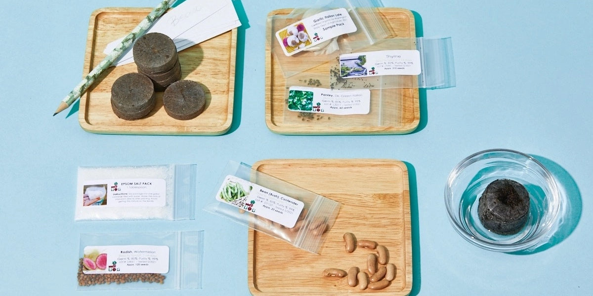 *NEW* Seeds-of-the-Month! | A Premium Monthly Seed Club Subscription