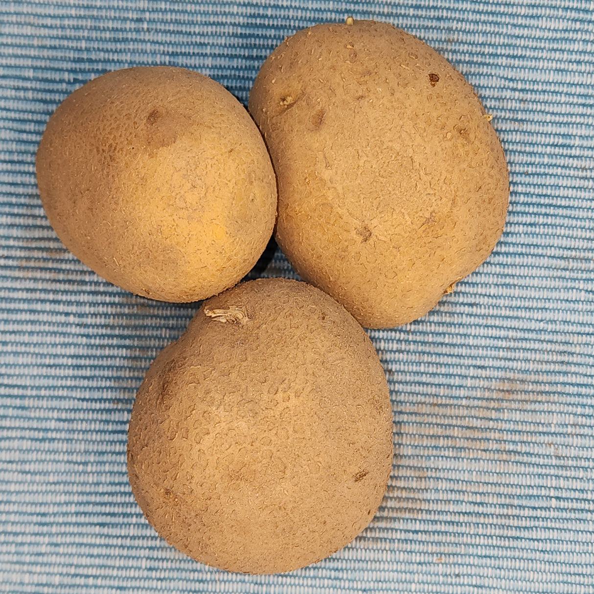 Potato (Mid-Season) - German Butterball (Organic rounds) *pre-order*