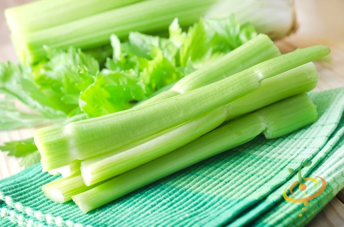 Golden celery seeds from SeedsNow, close-up image showing small, round, yellowish seeds on a white background.