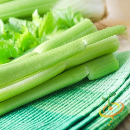 Golden Celery seeds to order online in the USA. Excellent quality stalks with no strings. Open-pollinated OP, USA-quality, Heirloom, NON-GMO organic seeds & more!