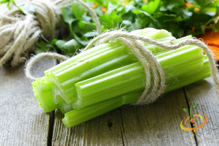 Golden celery seeds from SeedsNow shown in a clear close-up image, ready for planting or culinary use.