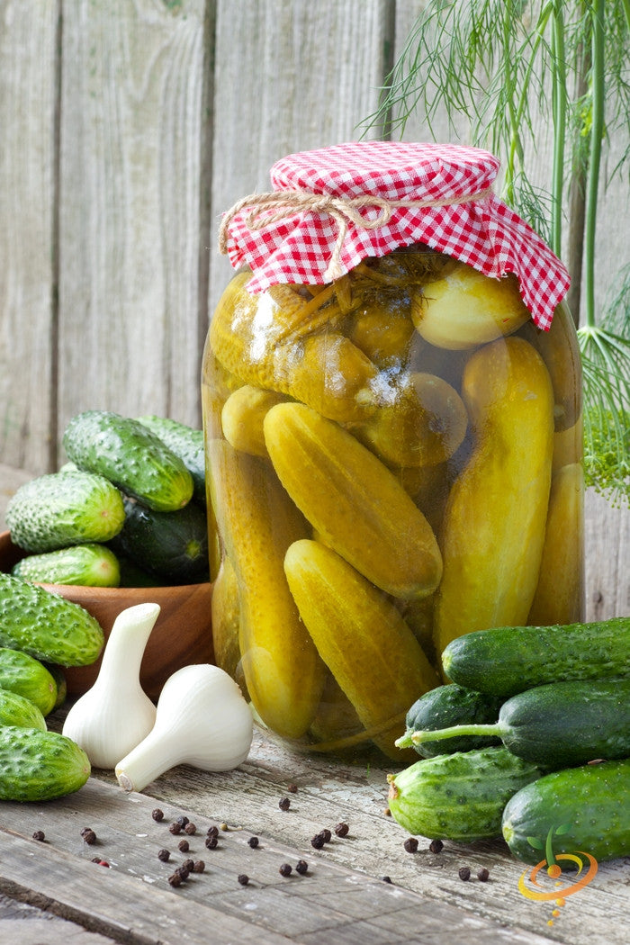 Jar of homemade pickles with cucumbers, garlic, and peppercorns on a rustic wooden table