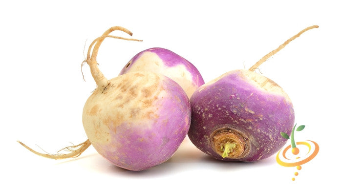 Purple top white globe turnips with smooth round roots and fresh crisp white flesh on a white background