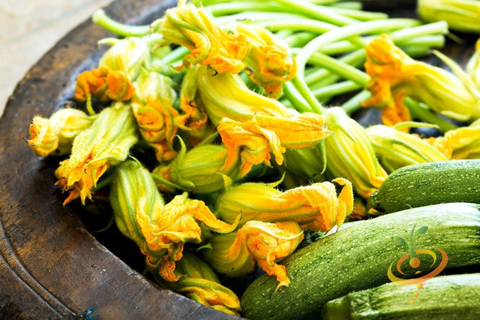 Fresh yellow Black Beauty zucchini flowers and green zucchinis on a rustic wooden plate