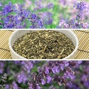 Catmint herb seeds to order online in the USA. Medicinal herbal remedies. Open-pollinated OP, USA-quality, Heirloom, NON-GMO organic seeds & more!