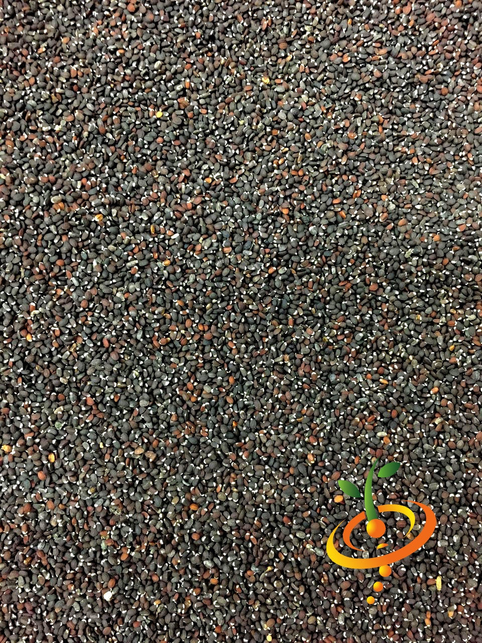 Close-up of Catmint Seeds from SeedsNow, showing small, gray-green seed grains ideal for planting catmint in your garden.