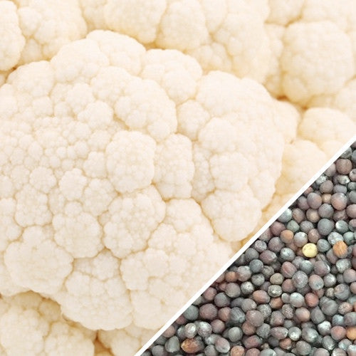 White snowball cauliflower close-up with mixed cauliflower seeds in corner