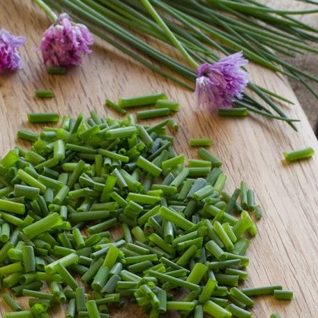 Shop for Allium Scoenoprasum Chive seeds to buy online in the USA. Hardy perennial herb. Open-pollinated OP, USA-quality, Heirloom, NON-GMO organic seeds & more!