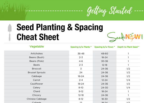 PRINTABLE!  Seed Planting & Spacing Cheat Sheet