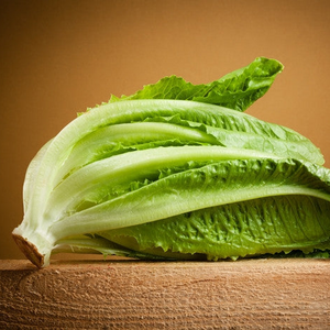 *FREE GIFT w/any-size order today! All-in-1 Romaine Lettuce Starter Kit