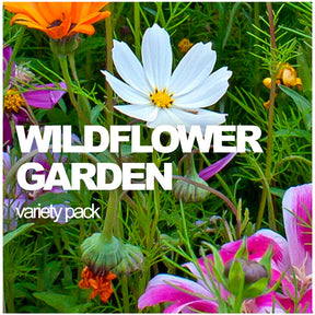 Wildflower Garden Variety Pack | Easy Scatter Seed Mix for Beautiful Gardens