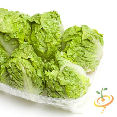*FREE* Little Gem Lettuce Seed Kit included w/any-size order today!