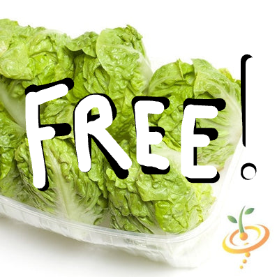 *FREE* Little Gem Lettuce Seed Kit included w/any-size order today!