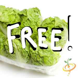 *FREE* Little Gem Lettuce Seed Kit included w/any-size order today!