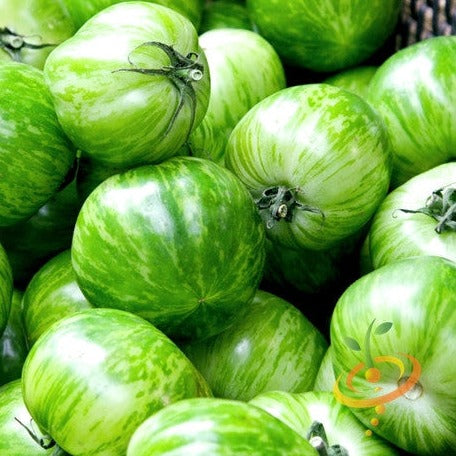 Tomato - Green Striped Zebra (Semi-determinate) - SeedsNow.com