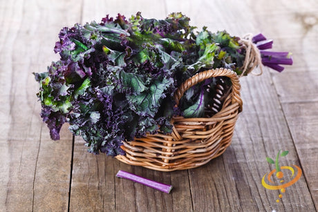 Fresh Red Russian kale with purple stems in a wicker basket on wooden surface